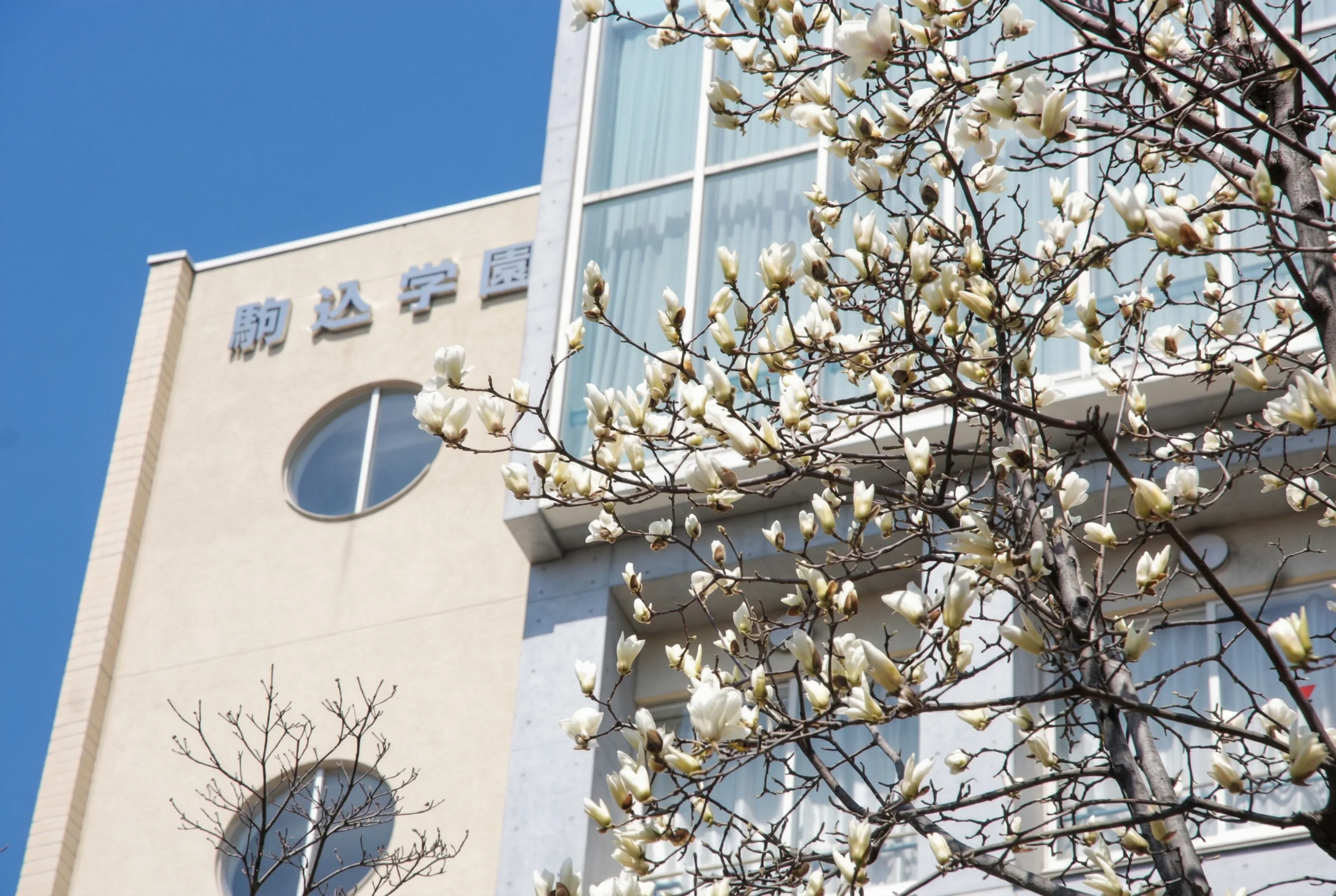 驹込高等学校校园资料图